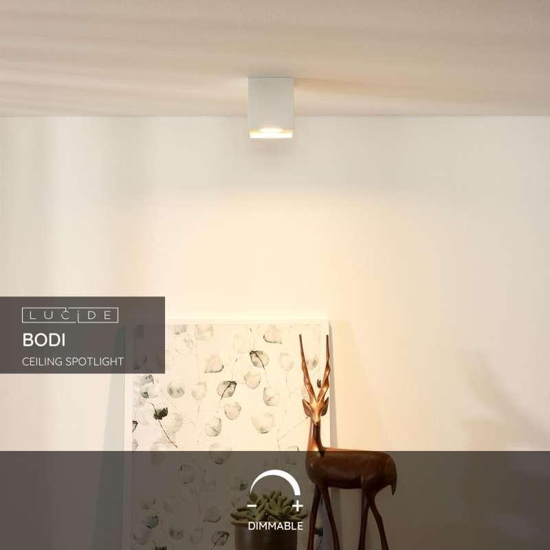 Lucide BODI - Stropné bodové svietidlo - 1xGU10 - Biele